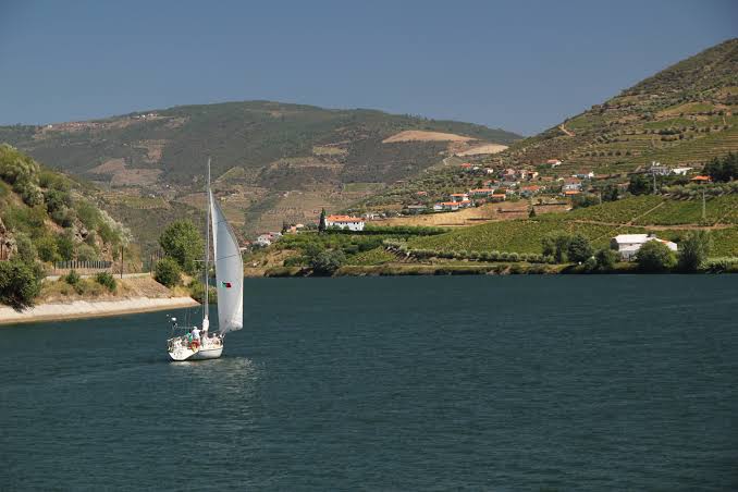 A sailing boat on the Douro River below the terraced vineyards of the Douro Valley